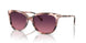 5528F4 - Pink - Burgundy Gradient Polar