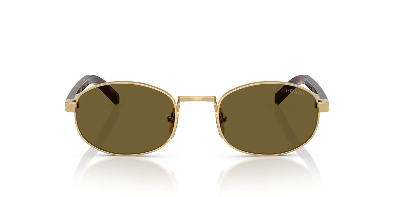 5AK09Z - Gold - Dark Brown