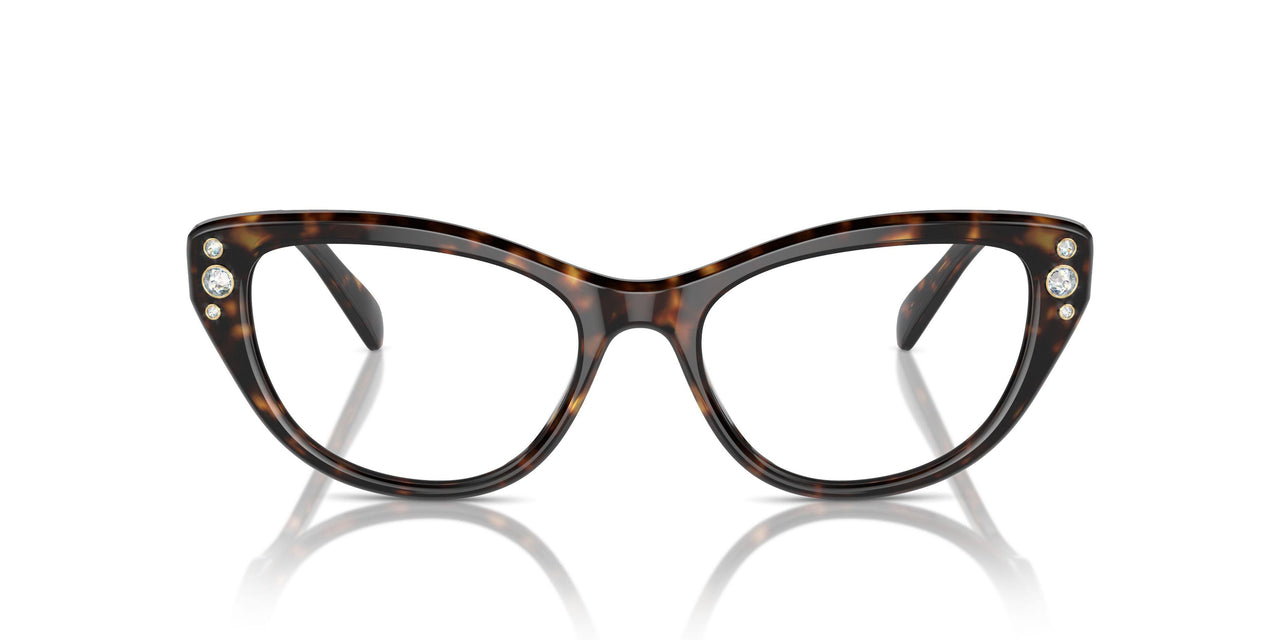 1002 - Brown