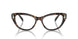 1002 - Brown