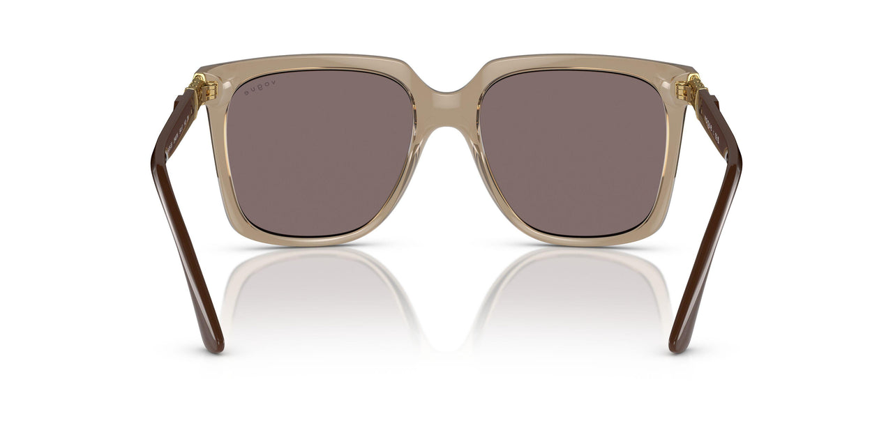 29407N - Brown - Violet