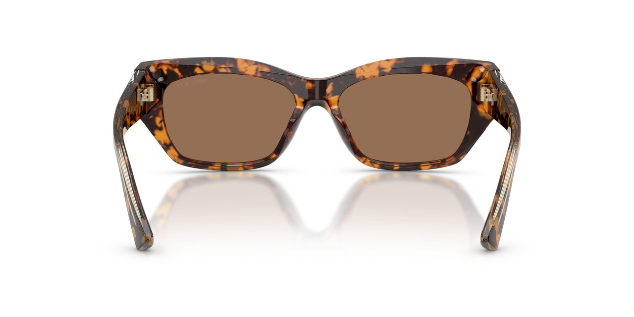 512173 - Tortoise - Dark Brown
