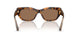512173 - Tortoise - Dark Brown