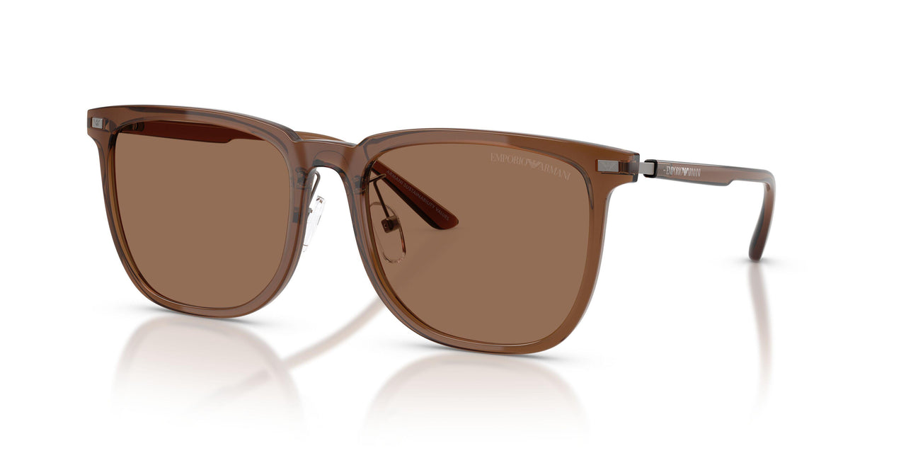 628273 - Brown - Dark Brown