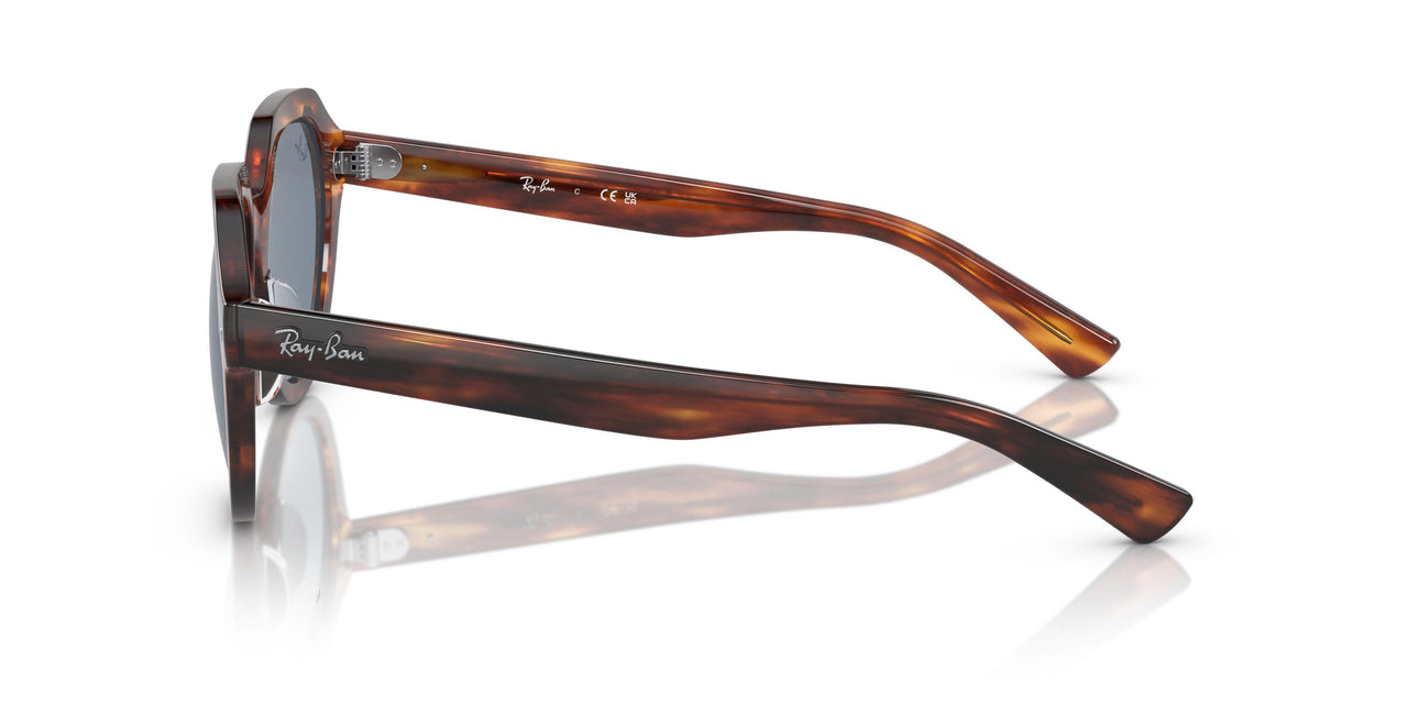 954/62 - Brown - Blue