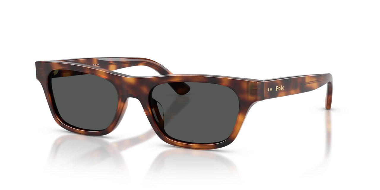 635587 - Brown - Dark Grey