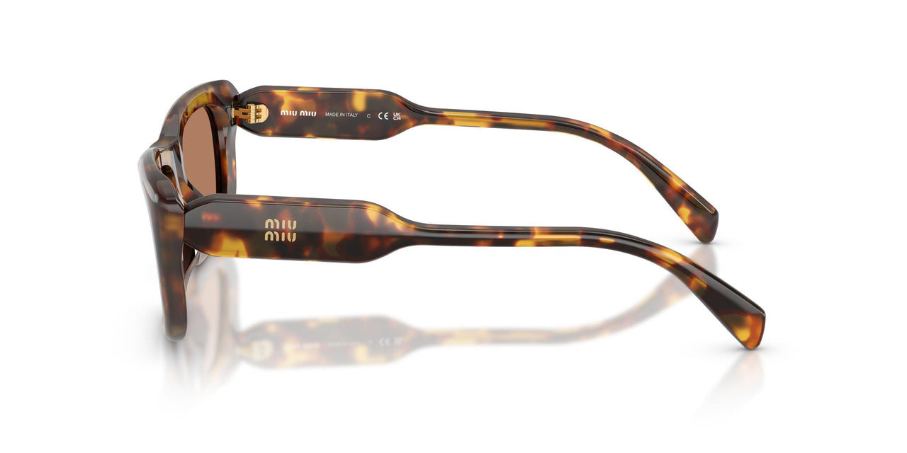 14L20D - Tortoise - Solid Brown