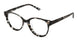 Kliik K-796 Eyeglasses