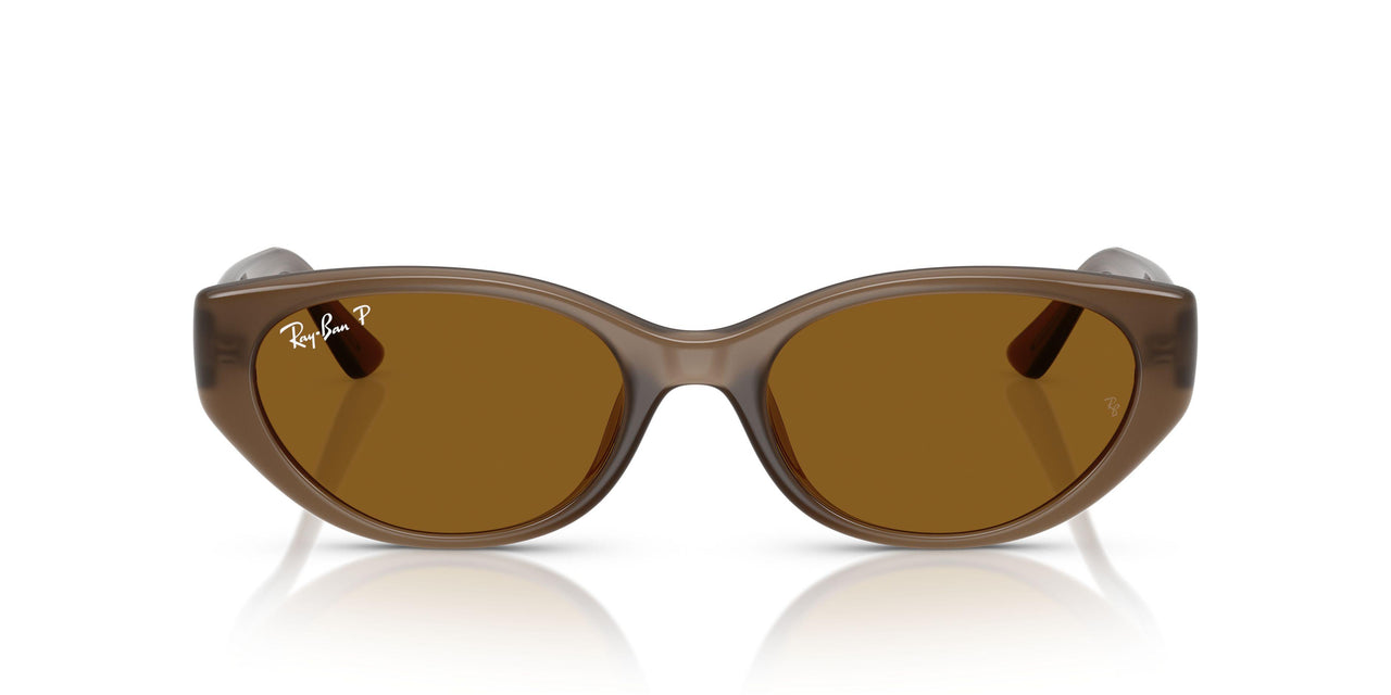 677983 - Brown - Dark Brown - Polar