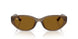 677983 - Brown - Dark Brown - Polar