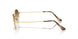 001/51 - Gold - Clear Gradient Brown
