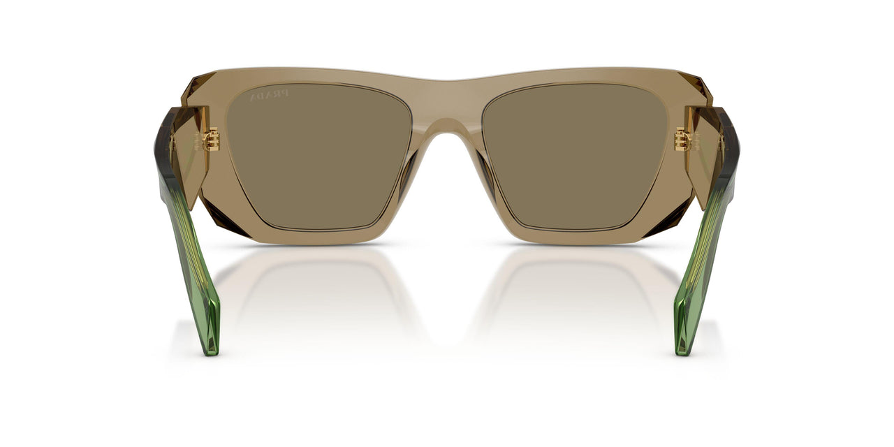 29E90F - Brown - Light Brown