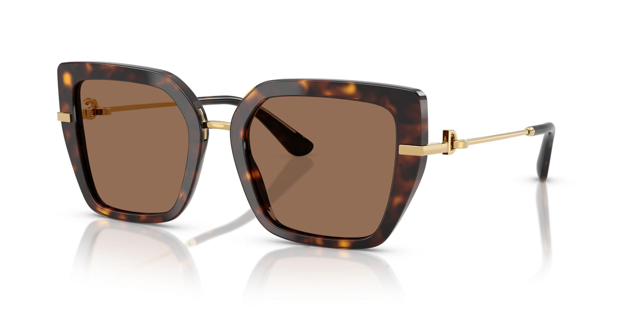 502/73 - Tortoise - Dark Brown