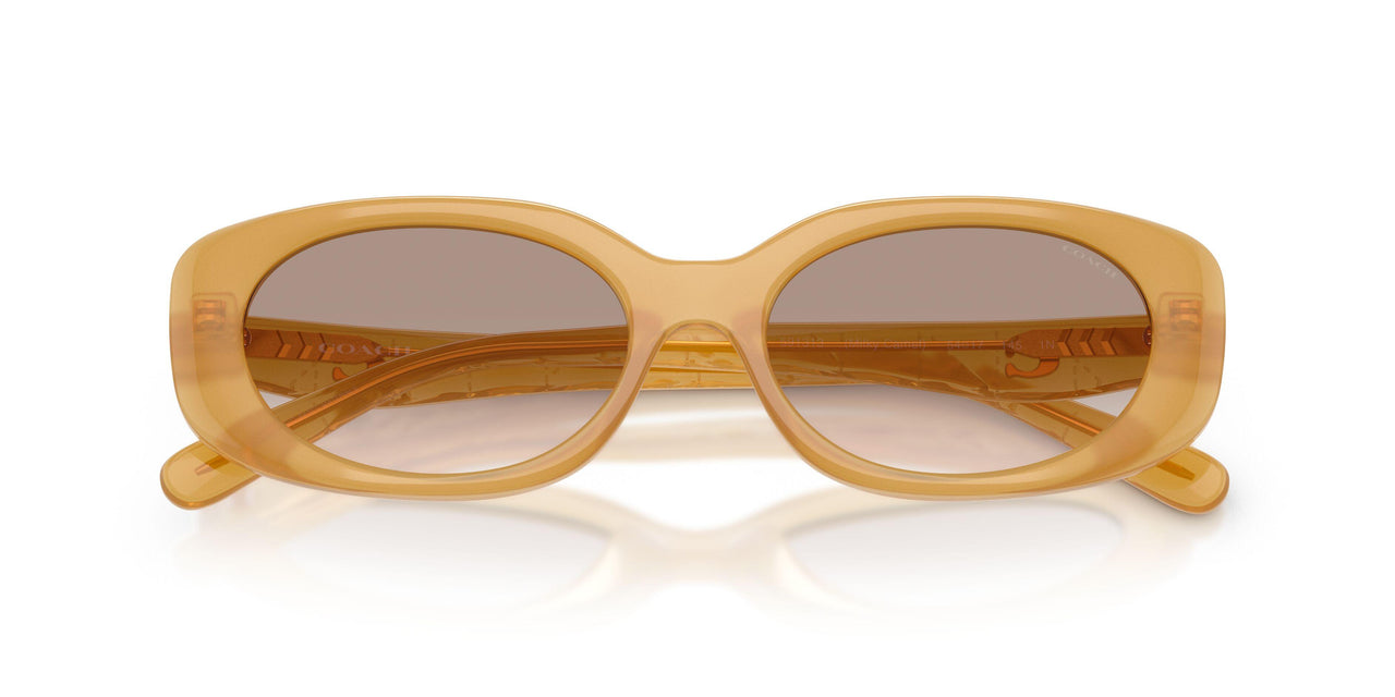 591313 - Brown - Light Brown Gradient