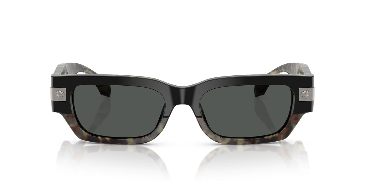 545687 - Tortoise - Dark Grey