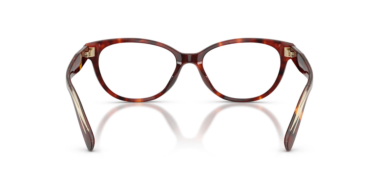 5938 - Tortoise