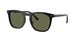 Ray-Ban 2210F Sunglasses