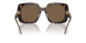 172873 - Tortoise - Dark Brown