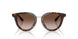 612413 - Tortoise - Brown Gradient