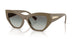 317511 - Brown - Gradient Dark Grey