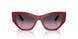 287590 - Red - Violet Gradient Grey