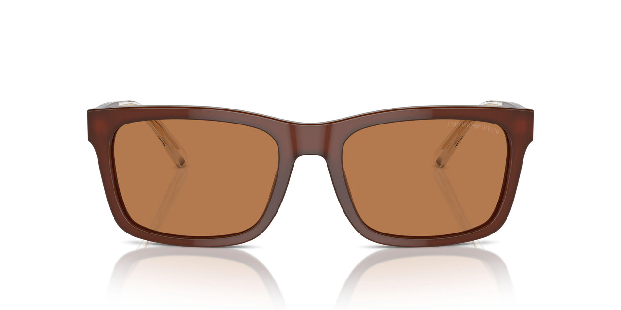 609573 - Brown - Brown