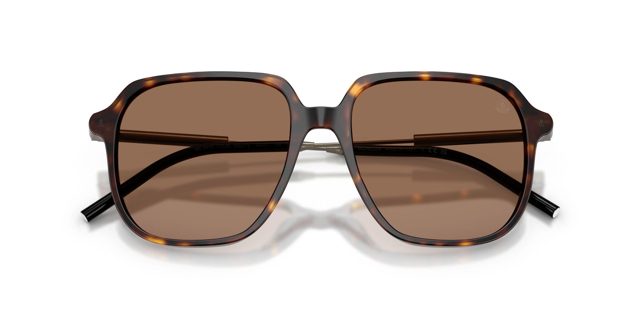 300273 - Tortoise - Brown Solid
