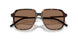 300273 - Tortoise - Brown Solid