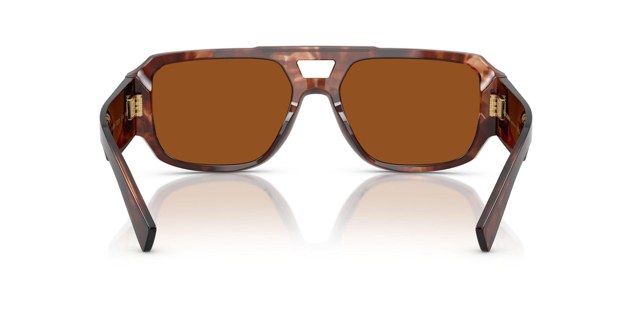 322273 - Red - Dark Brown