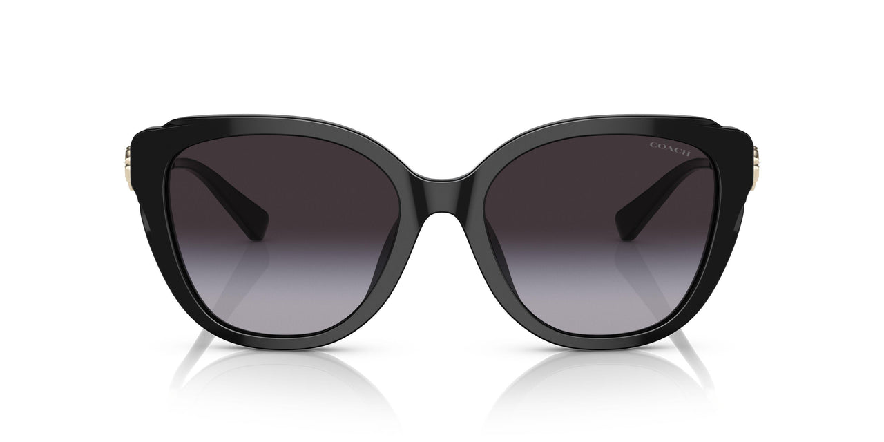 50028G - Black - Grey Gradient