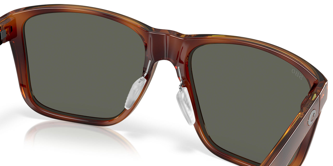 912605 - Tortoise - Gray
