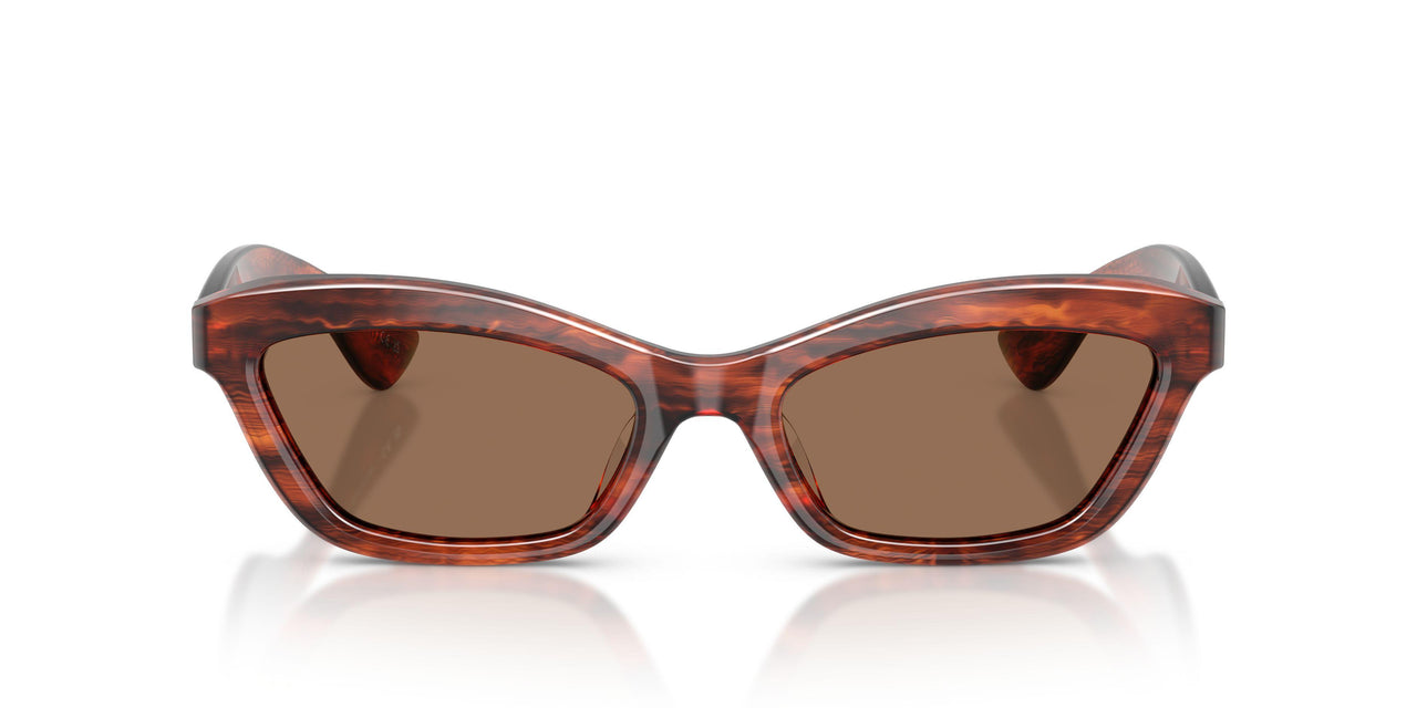 172573 - Red - Brown