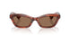 172573 - Red - Brown
