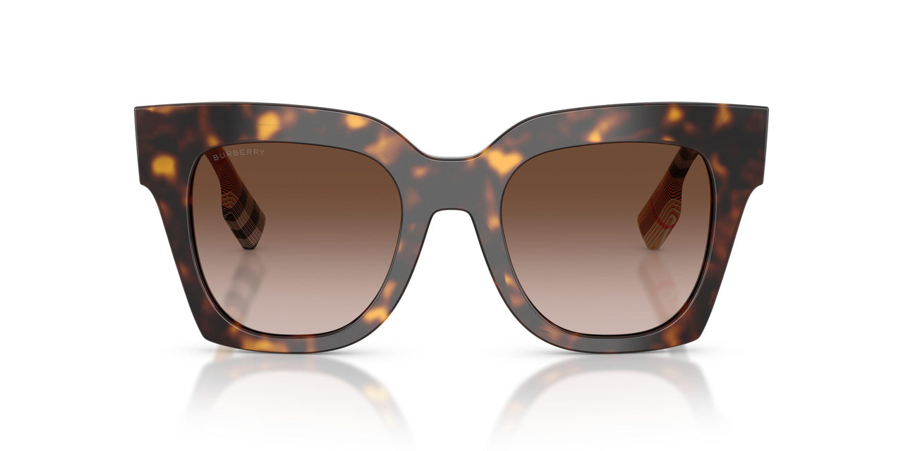 425113 - Brown - Brown Gradient