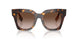 425113 - Brown - Brown Gradient