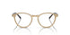 W900 - Brown