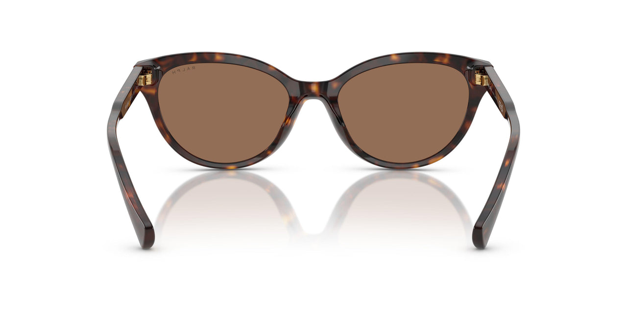 500373 - Tortoise - Brown
