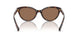 500373 - Tortoise - Brown