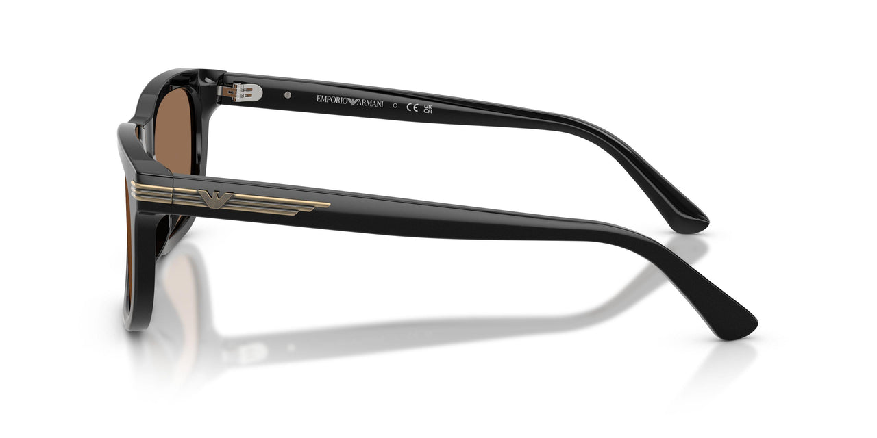 501773 - Black - Dark Brown