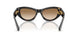 410689 - Tortoise - Brown Gradient