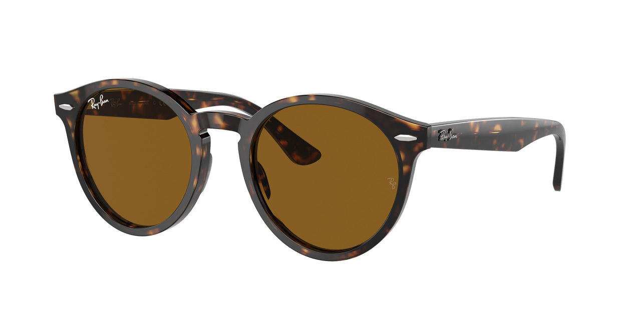 902/33 - Tortoise - Brown