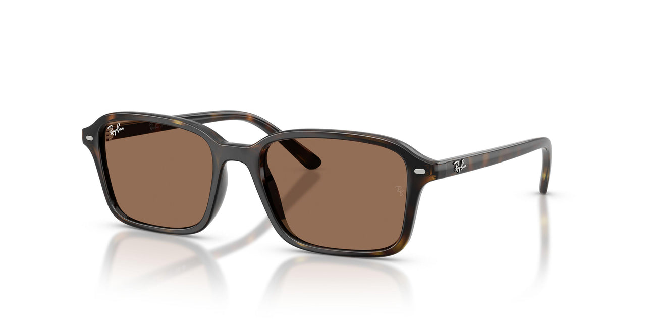 152/73 - Tortoise - Dark Brown