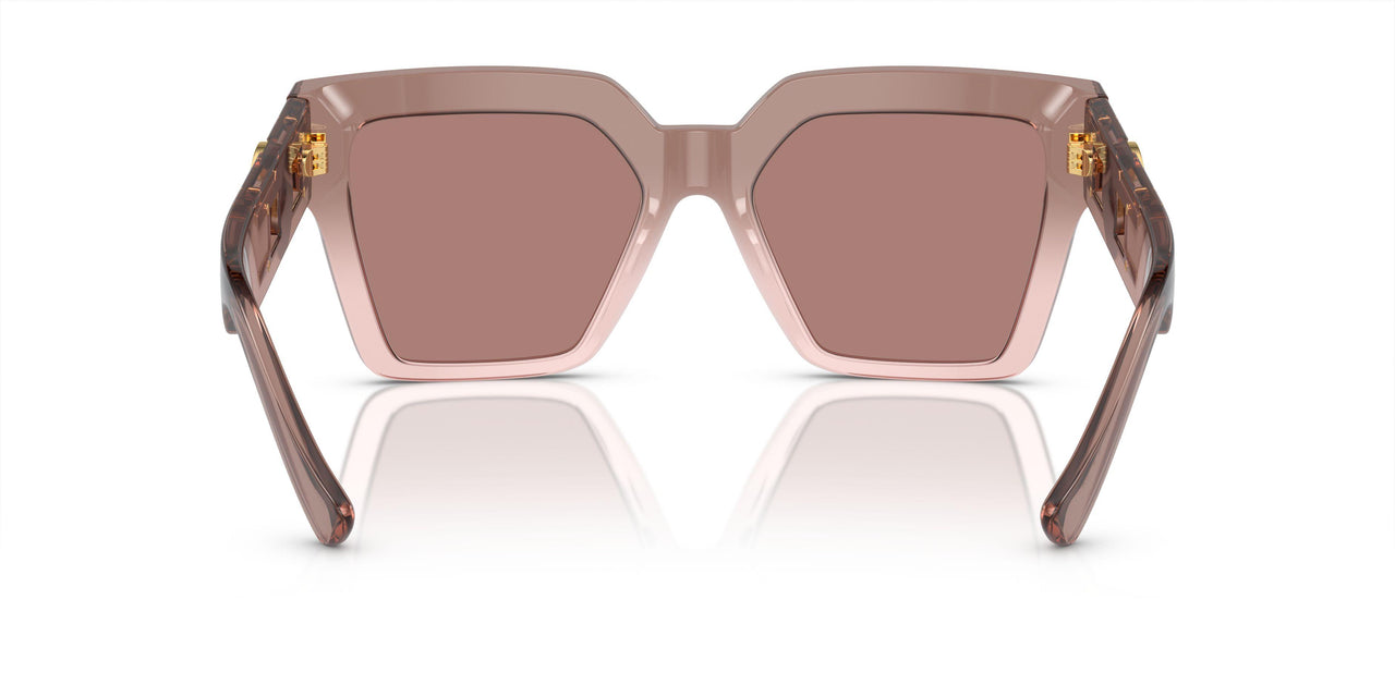 543573 - Brown - Light Brown