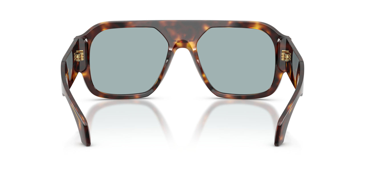553780 - Tortoise - Blue