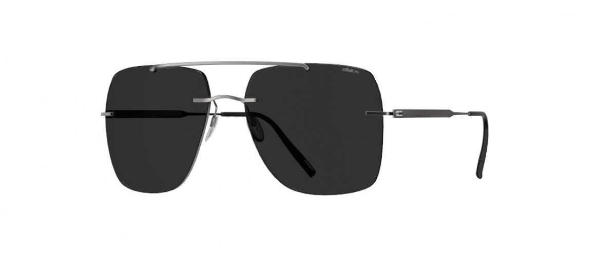 6560 - Ruthenium Black - SLM POL Grey