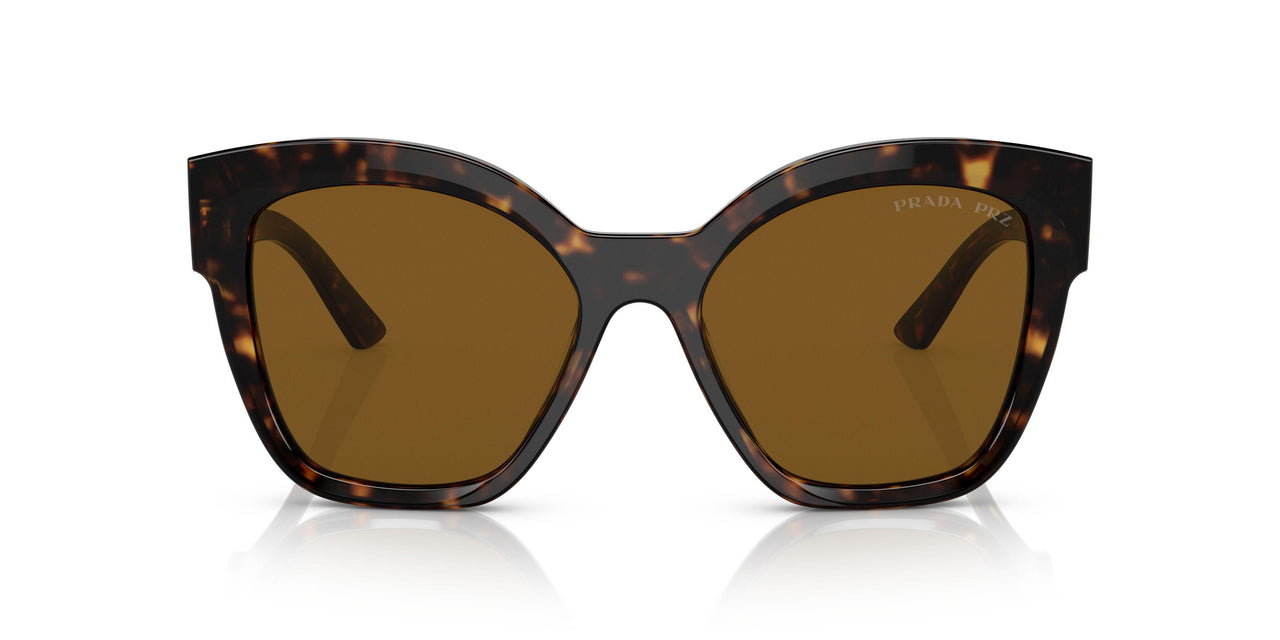 2AU5Y1 - Havana - Polar Dark Brown