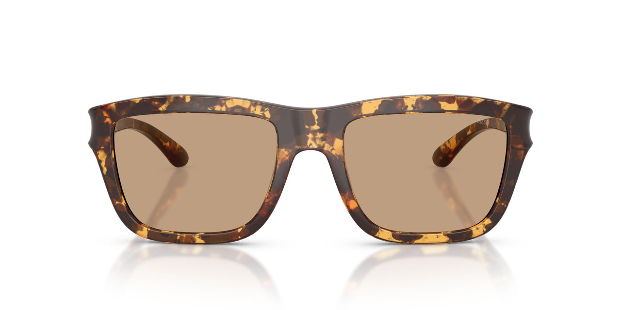 201363 - Tortoise - Solid Brown