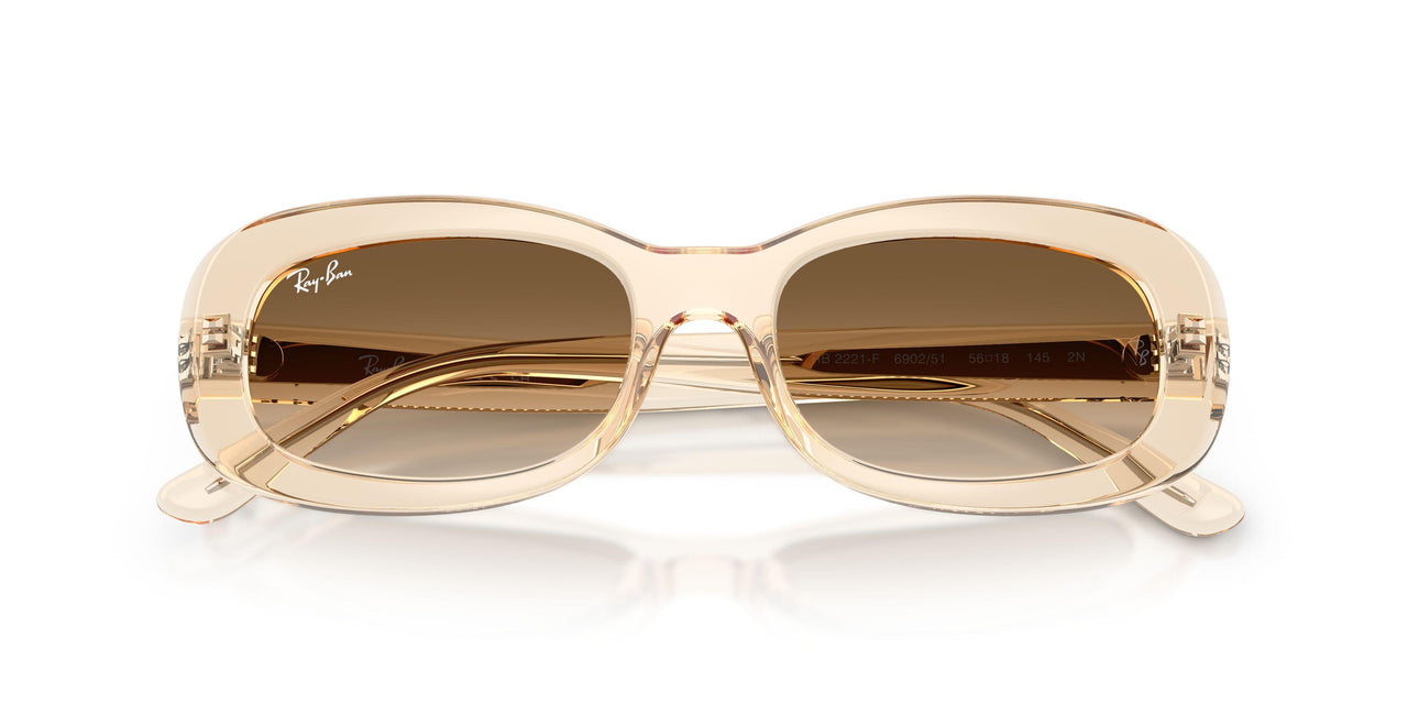 690251 - Pink - Clear Gradient Brown