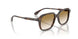 1801 - Brown