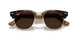 6928M4 - Tortoise - Clear/brown